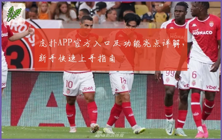 虎扑APP官方入口及功能亮点详解，新手快速上手指南