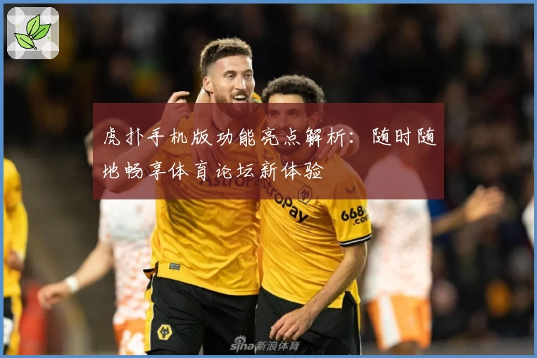 虎扑手机版功能亮点解析：随时随地畅享体育论坛新体验